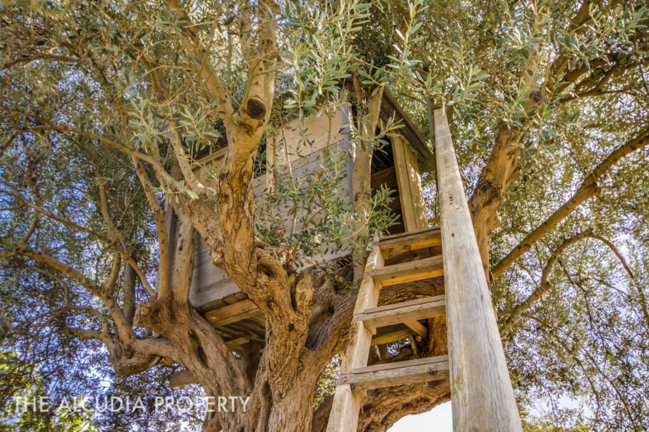 Finca Pegasus Alcúdia Eksteriør bilde